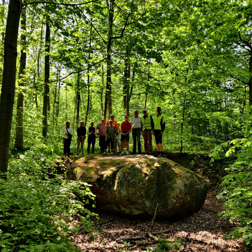 Lerelte stenen vejer 70 ton - den er flyttet af isen fra Sverige til Tokkekøb Hegn