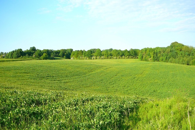 Egedal Lokalafdeling