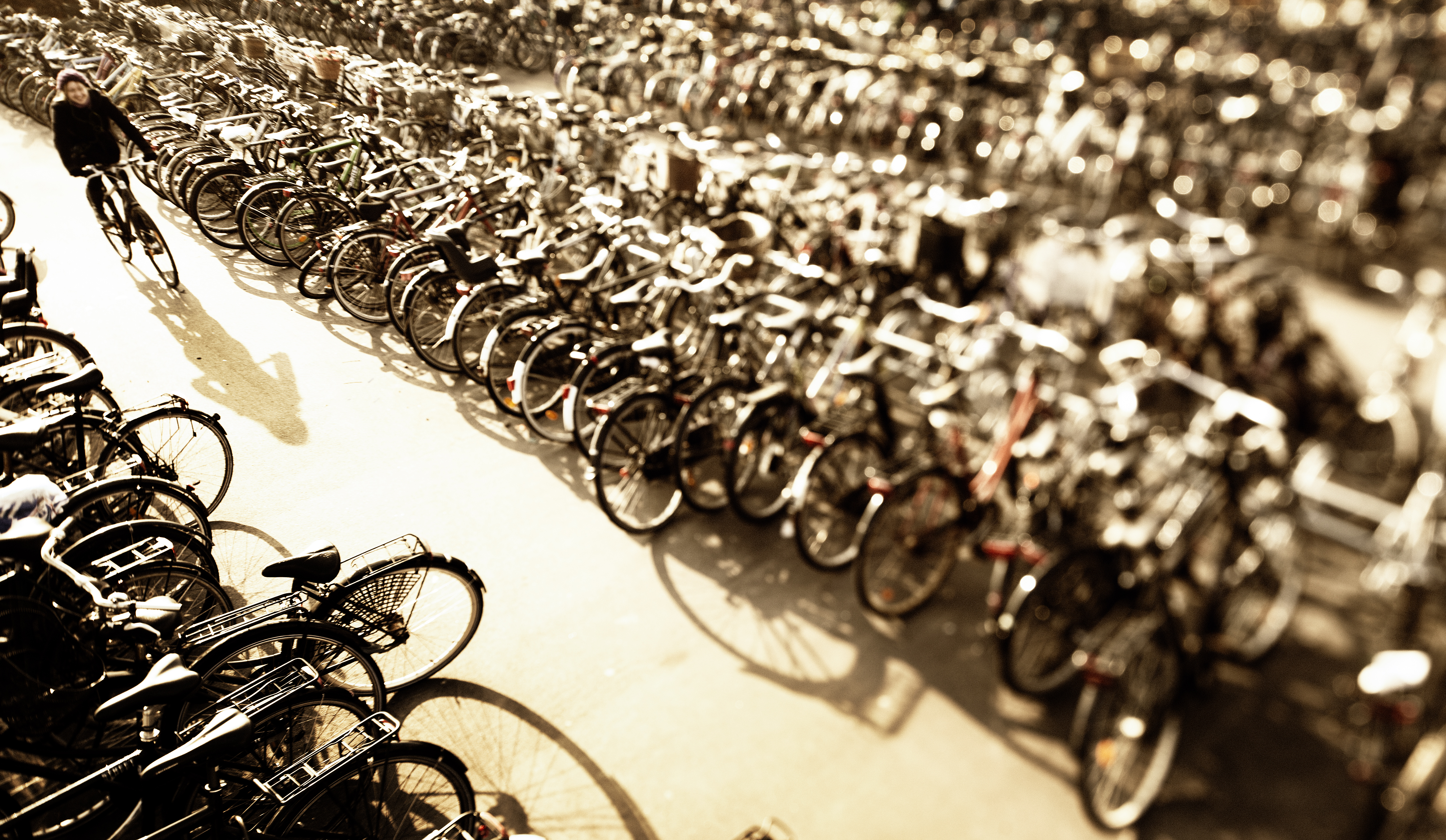 Foto_Mikkel Østergaard